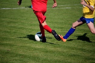 kaiyun-NBA球员训练计划个性化设计，nba球员训练视频,篮球技术