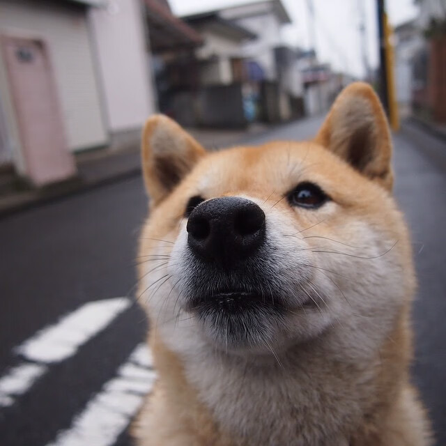 巴黎奥运乒乓资格赛迎来重头戏,各国选手拼搏,巴黎奥运会乒乓球参赛人员