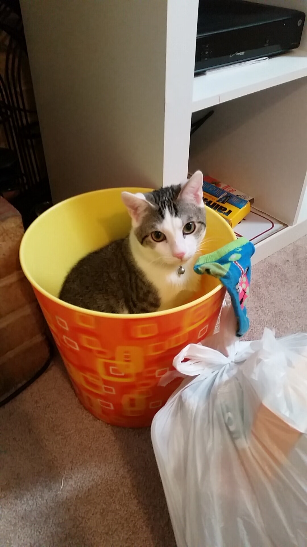 意甲球队实力比拼:战术、速度、高效攻守!,意甲实力如何