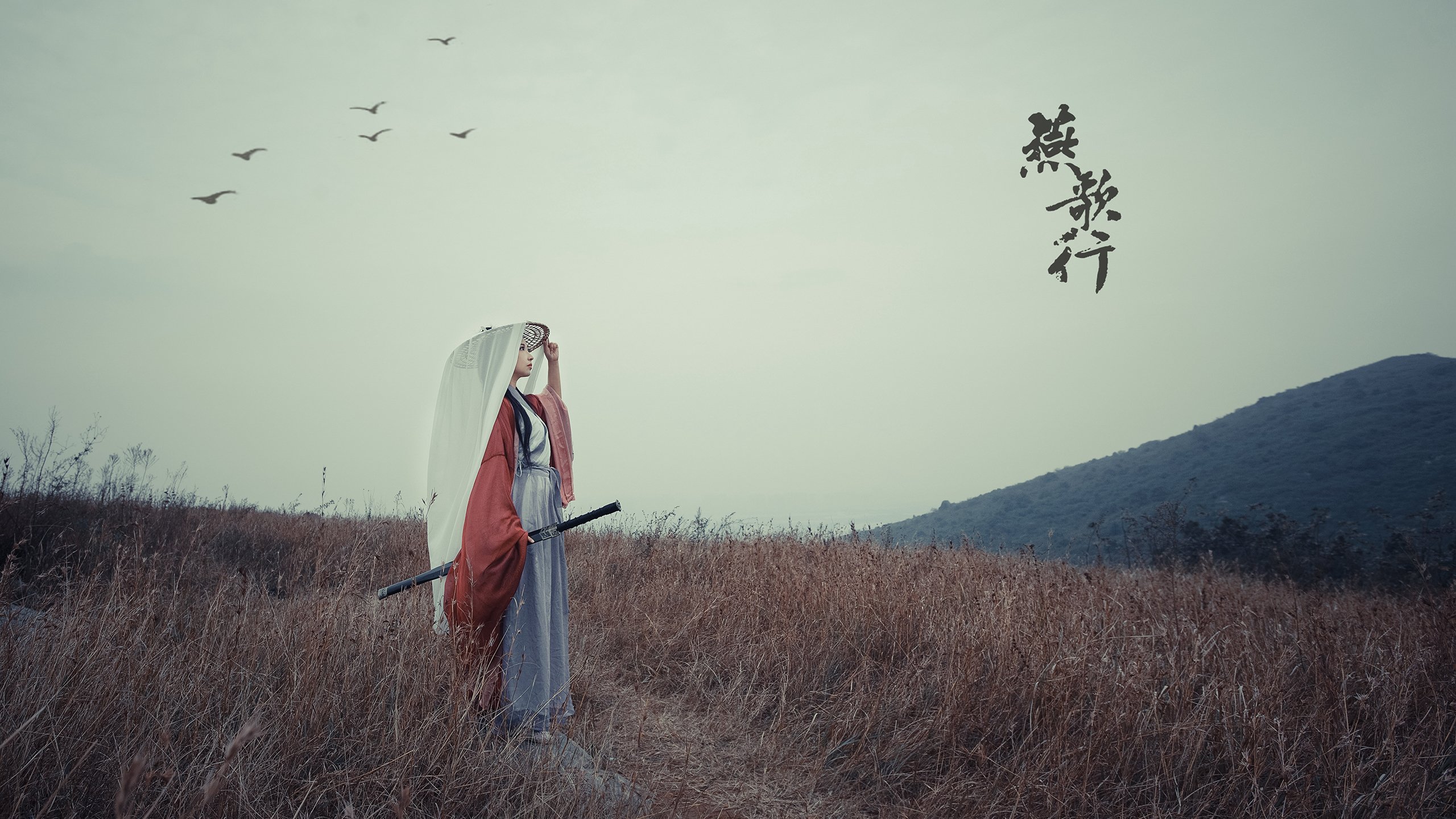 政策引导推动澳大利亚橄榄球持续发展,澳大利亚英式橄榄球联赛