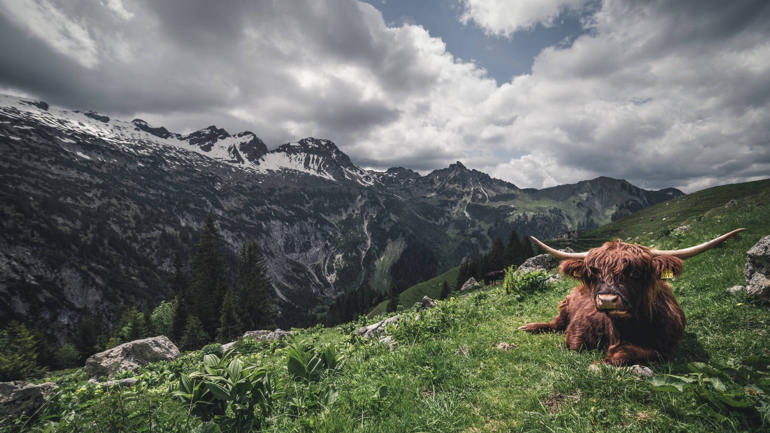 开云体育在线登入-曼城主帅瓜迪奥拉谈球队未来：信心十足，曼城还要让瓜迪奥拉客串设计师